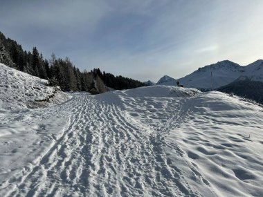 Excellently arranged and cleaned winter trails for walking, hiking, sports and recreation in the area of the Swiss tourist winter resort of Arosa - Canton of Grisons, Switzerland (Schweiz)