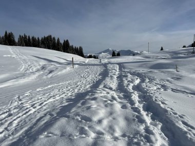 Excellently arranged and cleaned winter trails for walking, hiking, sports and recreation in the area of the Swiss tourist winter resort of Arosa - Canton of Grisons, Switzerland (Schweiz)