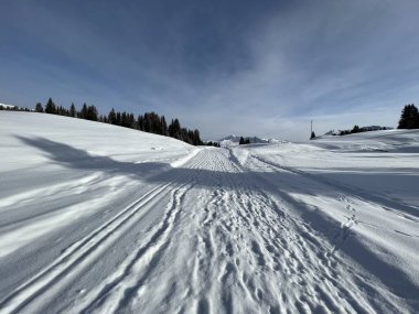 Excellently arranged and cleaned winter trails for walking, hiking, sports and recreation in the area of the Swiss tourist winter resort of Arosa - Canton of Grisons, Switzerland (Schweiz)