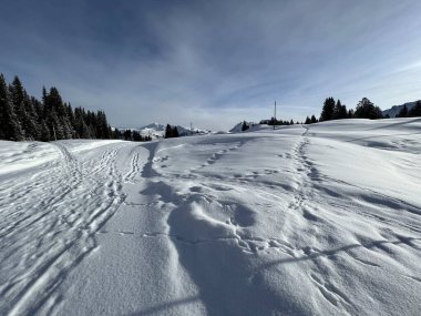 Excellently arranged and cleaned winter trails for walking, hiking, sports and recreation in the area of the Swiss tourist winter resort of Arosa - Canton of Grisons, Switzerland (Schweiz)