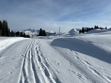 Excellently arranged and cleaned winter trails for walking, hiking, sports and recreation in the area of the Swiss tourist winter resort of Arosa - Canton of Grisons, Switzerland (Schweiz)
