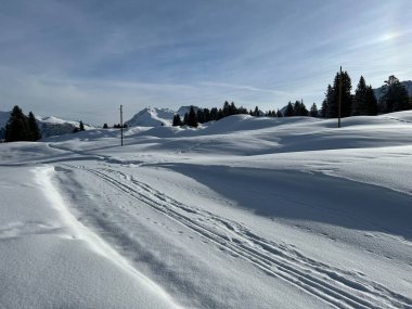 Excellently arranged and cleaned winter trails for walking, hiking, sports and recreation in the area of the Swiss tourist winter resort of Arosa - Canton of Grisons, Switzerland (Schweiz)