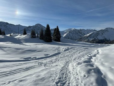 Excellently arranged and cleaned winter trails for walking, hiking, sports and recreation in the area of the Swiss tourist winter resort of Arosa - Canton of Grisons, Switzerland (Schweiz)