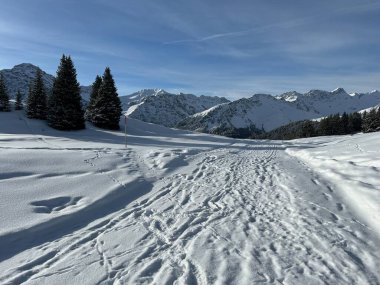 Excellently arranged and cleaned winter trails for walking, hiking, sports and recreation in the area of the Swiss tourist winter resort of Arosa - Canton of Grisons, Switzerland (Schweiz)