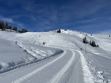 Excellently arranged and cleaned winter trails for walking, hiking, sports and recreation in the area of the Swiss tourist winter resort of Arosa - Canton of Grisons, Switzerland (Schweiz)