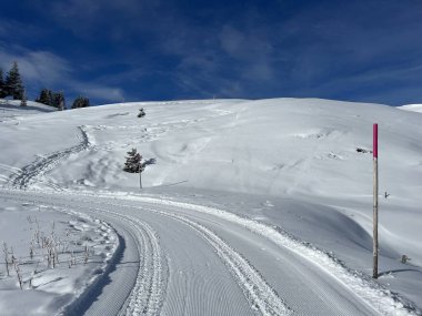 Excellently arranged and cleaned winter trails for walking, hiking, sports and recreation in the area of the Swiss tourist winter resort of Arosa - Canton of Grisons, Switzerland (Schweiz)