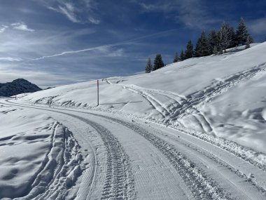 Excellently arranged and cleaned winter trails for walking, hiking, sports and recreation in the area of the Swiss tourist winter resort of Arosa - Canton of Grisons, Switzerland (Schweiz)