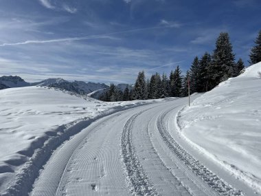 Excellently arranged and cleaned winter trails for walking, hiking, sports and recreation in the area of the Swiss tourist winter resort of Arosa - Canton of Grisons, Switzerland (Schweiz)