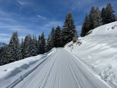 Excellently arranged and cleaned winter trails for walking, hiking, sports and recreation in the area of the Swiss tourist winter resort of Arosa - Canton of Grisons, Switzerland (Schweiz)