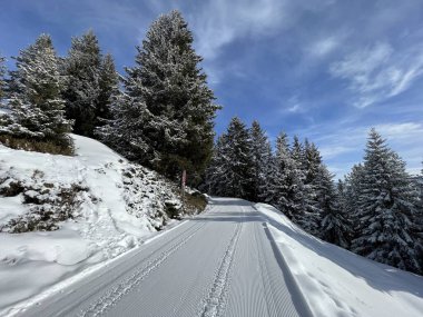 Excellently arranged and cleaned winter trails for walking, hiking, sports and recreation in the area of the Swiss tourist winter resort of Arosa - Canton of Grisons, Switzerland (Schweiz)
