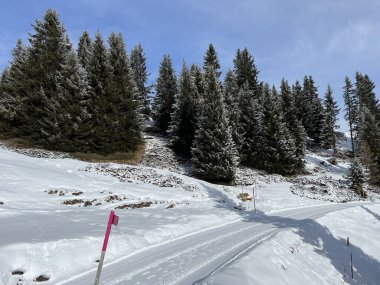 Excellently arranged and cleaned winter trails for walking, hiking, sports and recreation in the area of the Swiss tourist winter resort of Arosa - Canton of Grisons, Switzerland (Schweiz)