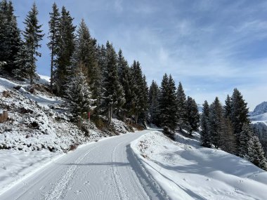 Excellently arranged and cleaned winter trails for walking, hiking, sports and recreation in the area of the Swiss tourist winter resort of Arosa - Canton of Grisons, Switzerland (Schweiz)