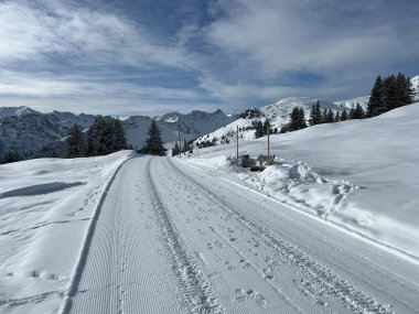 Excellently arranged and cleaned winter trails for walking, hiking, sports and recreation in the area of the Swiss tourist winter resort of Arosa - Canton of Grisons, Switzerland (Schweiz)
