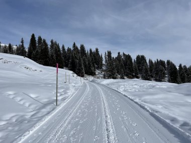 Excellently arranged and cleaned winter trails for walking, hiking, sports and recreation in the area of the Swiss tourist winter resort of Arosa - Canton of Grisons, Switzerland (Schweiz)