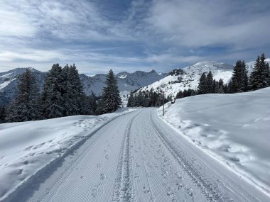 Excellently arranged and cleaned winter trails for walking, hiking, sports and recreation in the area of the Swiss tourist winter resort of Arosa - Canton of Grisons, Switzerland (Schweiz)