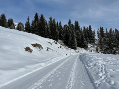 Excellently arranged and cleaned winter trails for walking, hiking, sports and recreation in the area of the Swiss tourist winter resort of Arosa - Canton of Grisons, Switzerland (Schweiz)