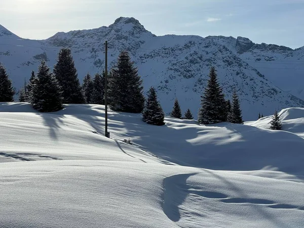 瑞士阿尔卑斯山地区典型的冬季气候中 以及瑞士格里森州Arosa旅游胜地上空 高山树的风景如画的日光浴 — 图库照片