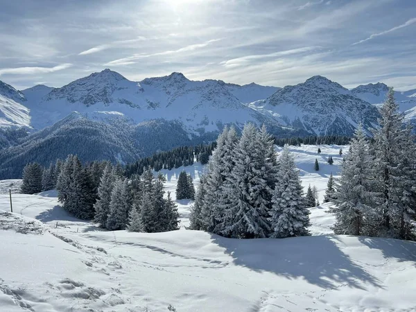 Schilderachtige Luifels Van Alpiene Bomen Een Typische Winterse Sfeer Zwitserse — Stockfoto