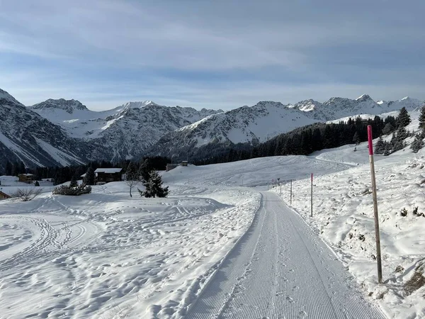 Stock image Excellently arranged and cleaned winter trails for walking, hiking, sports and recreation in the area of the Swiss tourist winter resort of Arosa - Canton of Grisons, Switzerland (Schweiz)