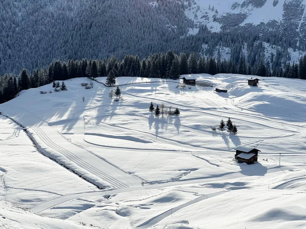 在瑞士Grisons州Arosa冬季旅游胜地 Schweiz 妥善安排和清理冬季小径 供步行 运动和娱乐 — 图库照片