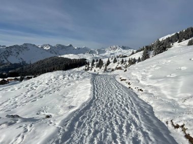 Wonderful winter hiking trails and traces in the fresh alpine snow cover of the Swiss Alps and over the tourist resort of Arosa - Canton of Grisons, Switzerland (Schweiz)