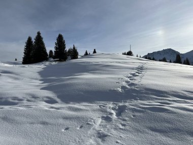 Wonderful winter hiking trails and traces in the fresh alpine snow cover of the Swiss Alps and over the tourist resort of Arosa - Canton of Grisons, Switzerland (Schweiz)
