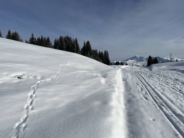 İsviçre Alpleri 'nin taze dağlık kar örtüsünde ve İsviçre' nin Grisonlar Kantonu, İsviçre 'nin turistik tatil beldesi Arosa' nın üzerinde harika kış yürüyüşü patikaları ve izler var.)