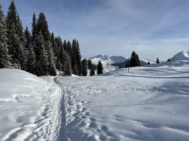 İsviçre Alpleri 'nin taze dağlık kar örtüsünde ve İsviçre' nin Grisonlar Kantonu, İsviçre 'nin turistik tatil beldesi Arosa' nın üzerinde harika kış yürüyüşü patikaları ve izler var.)