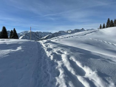 Wonderful winter hiking trails and traces in the fresh alpine snow cover of the Swiss Alps and over the tourist resort of Arosa - Canton of Grisons, Switzerland (Schweiz)