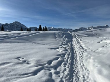 İsviçre Alpleri 'nin taze dağlık kar örtüsünde ve İsviçre' nin Grisonlar Kantonu, İsviçre 'nin turistik tatil beldesi Arosa' nın üzerinde harika kış yürüyüşü patikaları ve izler var.)