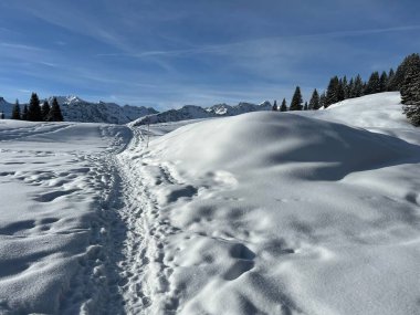 İsviçre Alpleri 'nin taze dağlık kar örtüsünde ve İsviçre' nin Grisonlar Kantonu, İsviçre 'nin turistik tatil beldesi Arosa' nın üzerinde harika kış yürüyüşü patikaları ve izler var.)