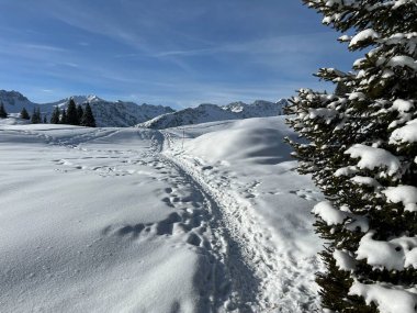 Wonderful winter hiking trails and traces in the fresh alpine snow cover of the Swiss Alps and over the tourist resort of Arosa - Canton of Grisons, Switzerland (Schweiz)