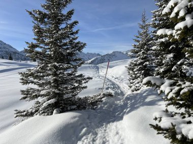 Wonderful winter hiking trails and traces in the fresh alpine snow cover of the Swiss Alps and over the tourist resort of Arosa - Canton of Grisons, Switzerland (Schweiz)