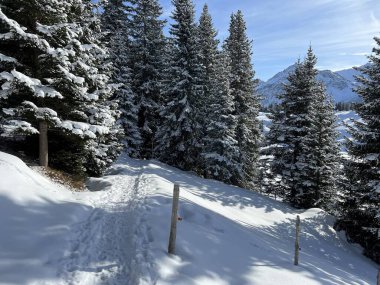 Wonderful winter hiking trails and traces in the fresh alpine snow cover of the Swiss Alps and over the tourist resort of Arosa - Canton of Grisons, Switzerland (Schweiz)