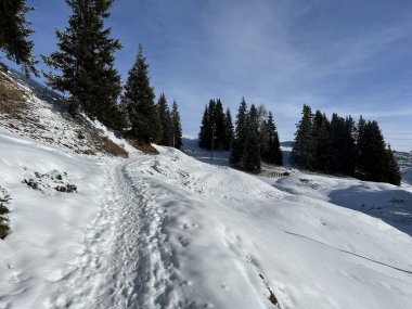 İsviçre Alpleri 'nin taze dağlık kar örtüsünde ve İsviçre' nin Grisonlar Kantonu, İsviçre 'nin turistik tatil beldesi Arosa' nın üzerinde harika kış yürüyüşü patikaları ve izler var.)