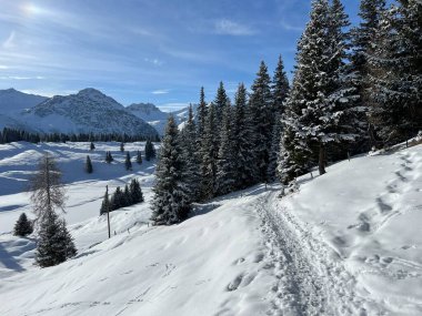 Wonderful winter hiking trails and traces in the fresh alpine snow cover of the Swiss Alps and over the tourist resort of Arosa - Canton of Grisons, Switzerland (Schweiz)