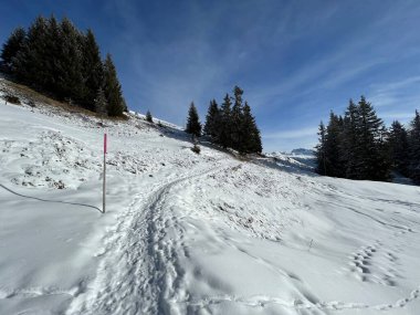 Wonderful winter hiking trails and traces in the fresh alpine snow cover of the Swiss Alps and over the tourist resort of Arosa - Canton of Grisons, Switzerland (Schweiz)