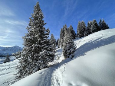 Wonderful winter hiking trails and traces in the fresh alpine snow cover of the Swiss Alps and over the tourist resort of Arosa - Canton of Grisons, Switzerland (Schweiz)