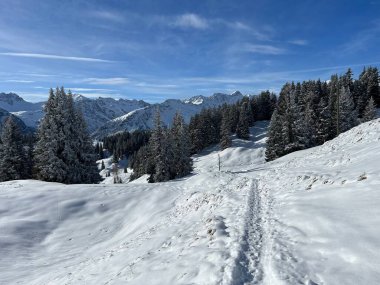 Wonderful winter hiking trails and traces in the fresh alpine snow cover of the Swiss Alps and over the tourist resort of Arosa - Canton of Grisons, Switzerland (Schweiz)