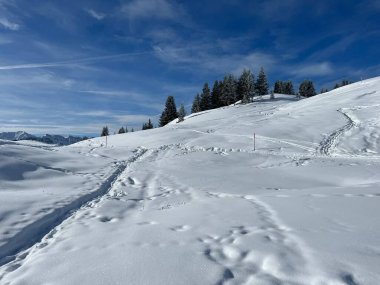 Wonderful winter hiking trails and traces in the fresh alpine snow cover of the Swiss Alps and over the tourist resort of Arosa - Canton of Grisons, Switzerland (Schweiz)