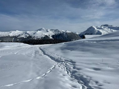 Wonderful winter hiking trails and traces in the fresh alpine snow cover of the Swiss Alps and over the tourist resort of Arosa - Canton of Grisons, Switzerland (Schweiz)