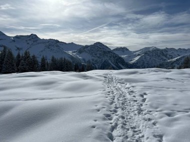 İsviçre Alpleri 'nin taze dağlık kar örtüsünde ve İsviçre' nin Grisonlar Kantonu, İsviçre 'nin turistik tatil beldesi Arosa' nın üzerinde harika kış yürüyüşü patikaları ve izler var.)