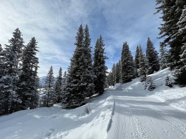 Excellently arranged and cleaned winter trails for walking, hiking, sports and recreation in the area of the Swiss tourist winter resort of Arosa - Canton of Grisons, Switzerland (Schweiz)