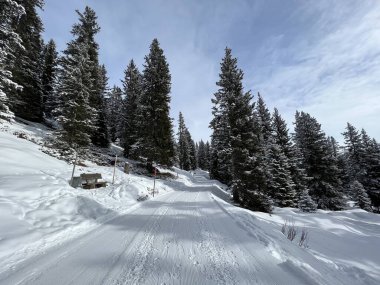 Excellently arranged and cleaned winter trails for walking, hiking, sports and recreation in the area of the Swiss tourist winter resort of Arosa - Canton of Grisons, Switzerland (Schweiz)