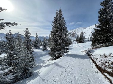Excellently arranged and cleaned winter trails for walking, hiking, sports and recreation in the area of the Swiss tourist winter resort of Arosa - Canton of Grisons, Switzerland (Schweiz)