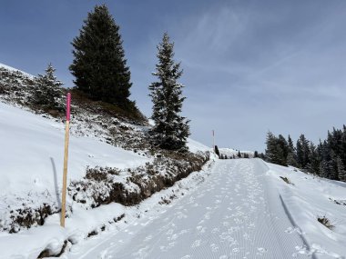 Excellently arranged and cleaned winter trails for walking, hiking, sports and recreation in the area of the Swiss tourist winter resort of Arosa - Canton of Grisons, Switzerland (Schweiz)