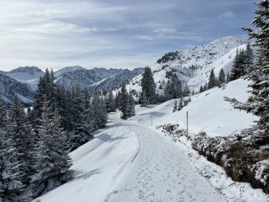 Excellently arranged and cleaned winter trails for walking, hiking, sports and recreation in the area of the Swiss tourist winter resort of Arosa - Canton of Grisons, Switzerland (Schweiz)
