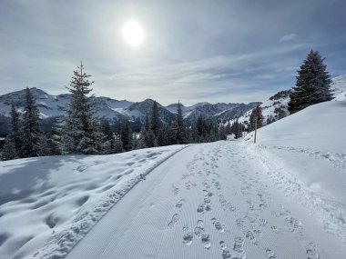 Excellently arranged and cleaned winter trails for walking, hiking, sports and recreation in the area of the Swiss tourist winter resort of Arosa - Canton of Grisons, Switzerland (Schweiz)