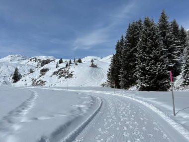 Excellently arranged and cleaned winter trails for walking, hiking, sports and recreation in the area of the Swiss tourist winter resort of Arosa - Canton of Grisons, Switzerland (Schweiz)