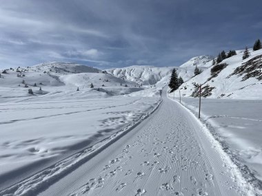 Excellently arranged and cleaned winter trails for walking, hiking, sports and recreation in the area of the Swiss tourist winter resort of Arosa - Canton of Grisons, Switzerland (Schweiz)